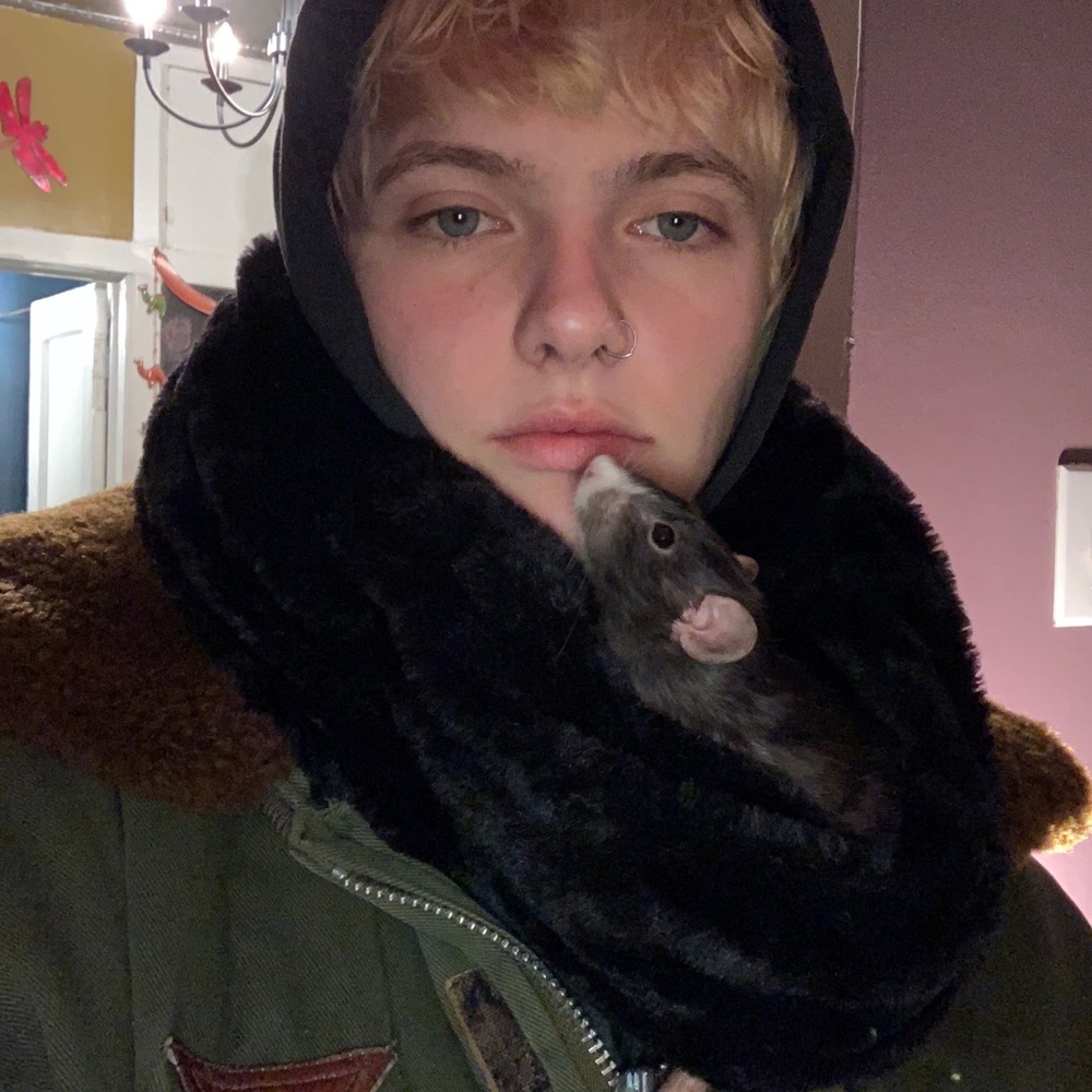 Meet your Posher, Bridget